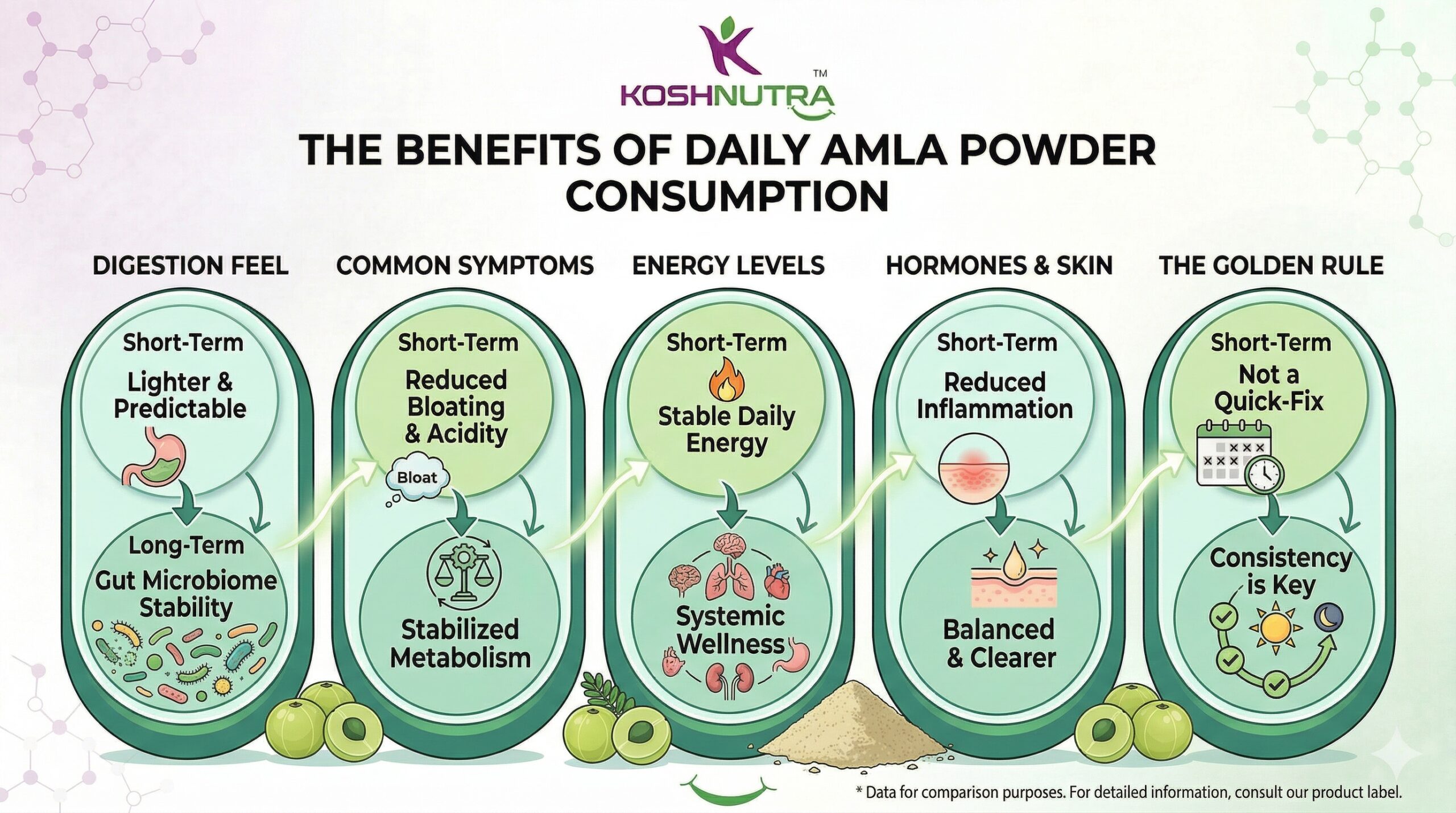 The Benefits of Daily Amla Consumption